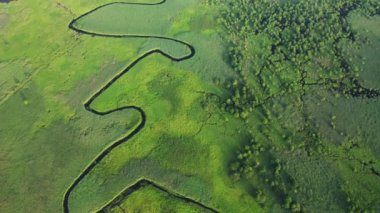 İnsansız hava aracı yeşil sulak alanlardaki dolambaçlı nehrin üzerinden uçuyor. Kuş bakışı. Ukrayna 'nın kırsal kesiminde, Avrupa' da. Sinematik hava çekimi. Toprağın güzelliğini keşfedin. 4k, İHA videosu ile çekilmiştir..