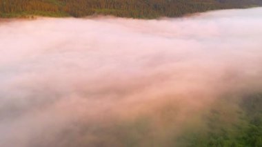 İnsansız hava aracı güneşin doğuşunda sisli bir vadide uçuyor. Karpat Dağları, Ukrayna, Avrupa. Sinematik hava çekimi. Dünyanın güzelliğini keşfet. 4k, İHA videosu ile çekilmiştir..