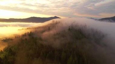 Dağları kaplayan kalın sisin kuş bakışı manzarası muhteşem. Karpat Dağları, Ukrayna, Avrupa. Sinematik hava çekimi. Toprağın güzelliği. 4k, İHA videosu ile çekilmiştir..