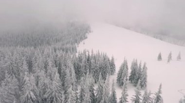 Kuş bakışı manzaralı muhteşem bir kış sahnesi. 4k, İHA videosu ile çekilmiştir..