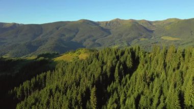 Güneşli bir günde yeşil alp çayırlarıyla görkemli dağ vadisi. 4k, İHA videosu ile çekilmiştir..