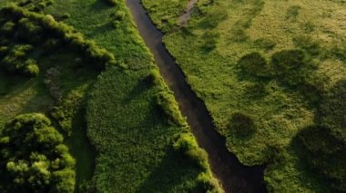 İnsansız hava aracı yeşil sulak alanlardaki dolambaçlı nehrin üzerinden uçuyor. 4k, İHA videosu ile çekilmiştir..