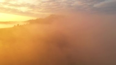 Yoğun sis dağları ve ormanları sabah ışıklarıyla kaplar. 4k, İHA videosu ile çekilmiştir..