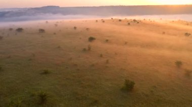 İnsansız hava aracı güneş doğarken sisle kaplı bir çayırın üzerinde uçuyor. 4k, İHA videosu ile çekilmiştir..