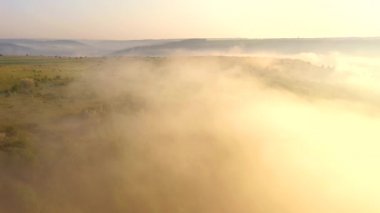 İnsansız hava aracı güneş doğarken sisle kaplı bir çayırın üzerinde uçuyor. 4k, İHA videosu ile çekilmiştir..