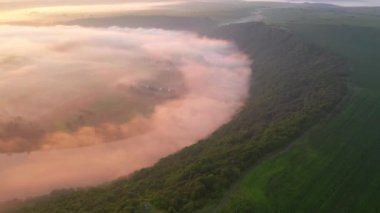 Dinyester Nehri 'nin sisli bir sabahının insansız hava aracından ateş etmek. Sinematik hava çekimi. Yeri Dnister Kanyonu, Ukrayna, Avrupa. Toprağın güzelliğini keşfedin. 4k, İHA videosu ile çekilmiştir..