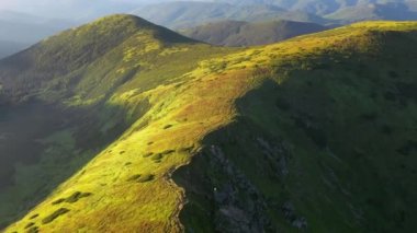 Güneşli bir günde yeşil alp çayırlarındaki dron görüntüsü. 4k, İHA videosu.