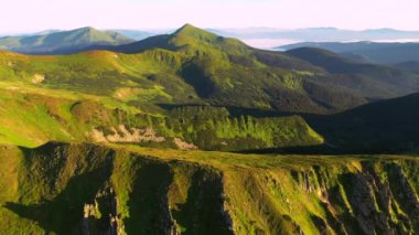 Güneşli bir günde yeşil alp çayırlarındaki dron görüntüsü. 4k, İHA videosu.