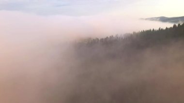 İnsansız hava aracı, güneşli bir günde dağların üzerinden yoğun siste uçuyor. Karpat Dağları, Ukrayna, Avrupa. Sinematik hava çekimi. Toprağın güzelliğini keşfedin. 4k, İHA videosu ile çekilmiştir..