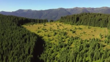Güneşli bir günde dağların ve yeşil ormanların kuş bakışı manzarası mükemmel. 4k, İHA videosu ile çekilmiştir..