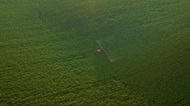 Yeşil alanlar püskürten traktörün üzerinde uçan bir dronun manzarası. 4k, İHA videosu.