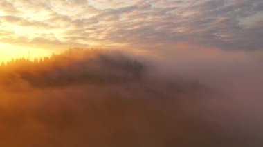 Yoğun sis, sabah ışıklarıyla dağları kaplıyor. 4k, İHA videosu ile çekilmiştir..