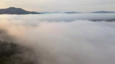 Sisli dağları kuş bakışı gören muhteşem bir manzara. Karpat Dağları, Ukrayna, Avrupa. Sinematik hava çekimi. Dünyanın güzelliğini keşfet. 4k, İHA videosu ile çekilmiştir..