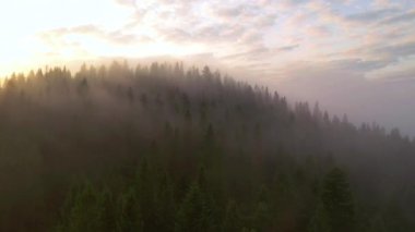 Dağları kaplayan kalın sisin kuş bakışı manzarası muhteşem. Karpat Dağları, Ukrayna, Avrupa. Sinematik hava çekimi. Toprağın güzelliği. 4k, İHA videosu ile çekilmiştir..