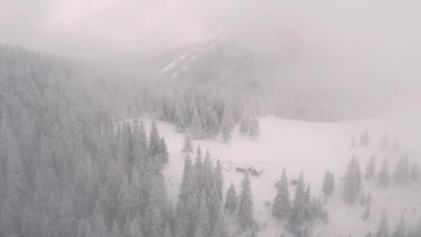 Schitterende Winterse Scene Vanuit Vogelperspectief Gefilmd Drone Video — Stockvideo