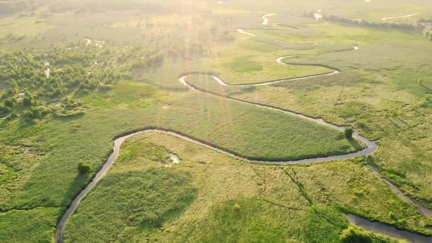 Spektakulära Slingrande Flod Lummiga Gröna Våtmarker Från Fågelperspektiv Inspelning Från — Stockvideo