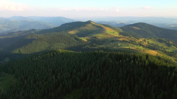 Vue Splendide Depuis Point Vue Oiseau Sur Vallée Verdoyante Des — Video