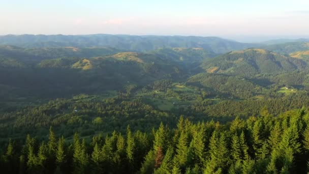 緑の山々の谷の鳥の目のビューから素晴らしい景色 4Kで撮影されたドローンビデオ — ストック動画