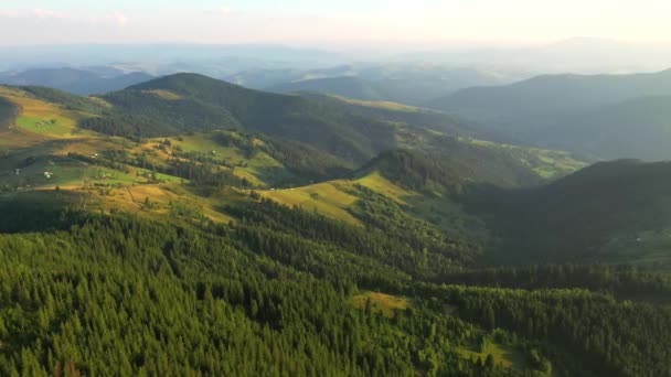 Drone Survolant Une Montagne Une Forêt Verdoyante Filmé Drone Vidéo — Video