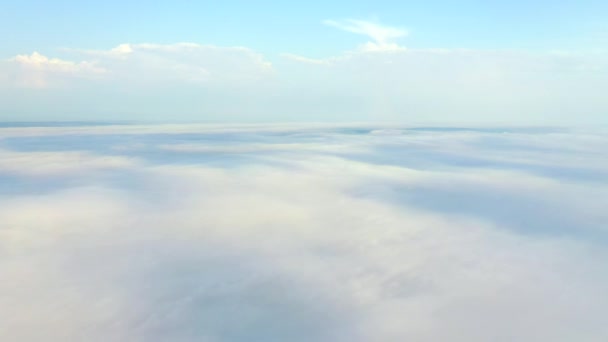 Drone Terbang Atas Kabut Tebal Yang Menutupi Tanah Pertanian Pemandangan — Stok Video