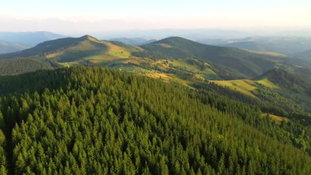 Drone Survolant Une Montagne Une Forêt Verdoyante Filmé Drone Vidéo — Video