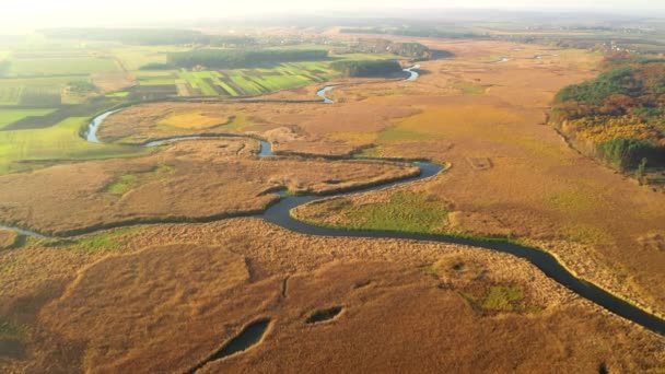 Atractiva Vista Desde Dron Volando Sobre Sinuoso Río Día Soleado — Vídeo de stock