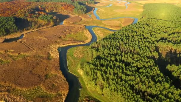 Vista Exótica Desde Dron Volando Sobre Sinuoso Río Día Soleado — Vídeo de stock