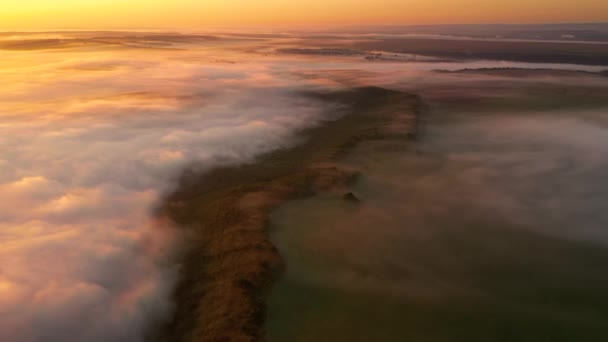 Spektakulær Udsigt Landbrugsjord Dækket Med Tåge Ved Daggry Filmisk Luftfoto – Stock-video