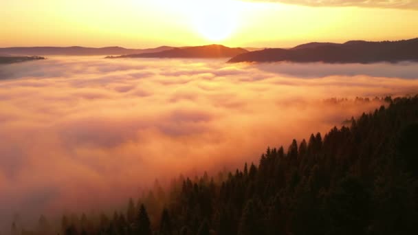 鸟瞰着覆盖着高山的浓雾 鸟瞰着壮丽的景色 以4K 无人驾驶视频拍摄 — 图库视频影像
