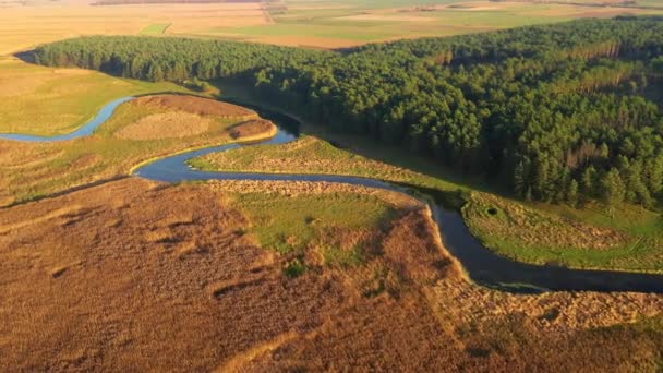 晴れた日には川を渡るドローンからの珍しい景色 4Kで撮影された空中ドローンビデオ — ストック動画