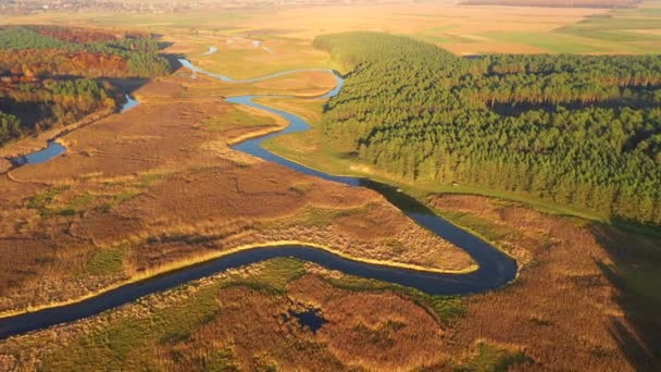 Vista Exótica Drone Voando Sobre Rio Sinuoso Dia Ensolarado Filmado — Vídeo de Stock