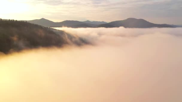 Drone Vuela Sobre Espesa Niebla Que Cubría Valle Montaña Ubicación — Vídeos de Stock