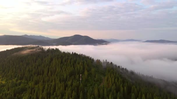 Drone Vuela Sobre Espesa Niebla Que Cubría Valle Montaña Ubicación — Vídeos de Stock