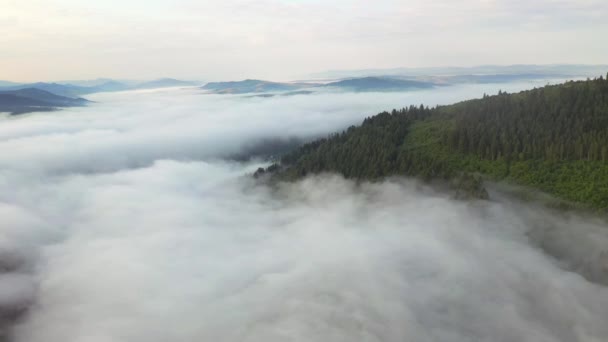 Drone Terbang Atas Kabut Tebal Yang Menutupi Lembah Pegunungan Lokasi — Stok Video