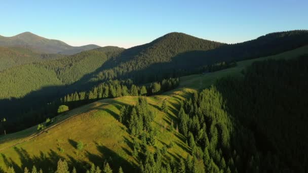 Majestueuse Vallée Montagne Par Une Journée Ensoleillée Avec Vertes Prairies — Video