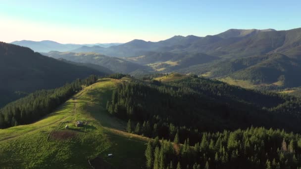 Vallée Montagneuse Pittoresque Avec Prairies Alpines Matin Filmé Drone Vidéo — Video