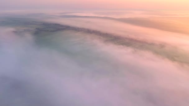 ドローンは農地を覆う濃い朝の霧の上を飛んでいます 4Kで撮影されたドローンビデオ — ストック動画