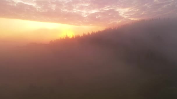 濃霧は朝の光の中で山や森を覆う 4Kで撮影されたドローンビデオ — ストック動画