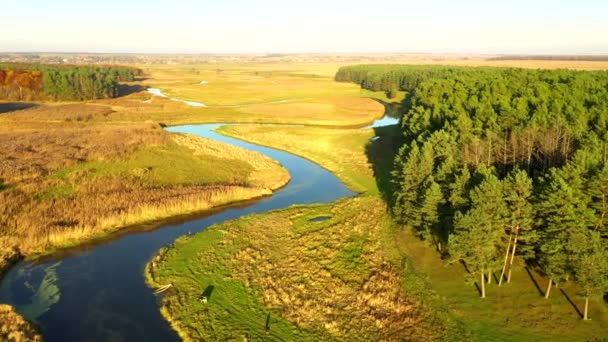 Attraktiver Blick Von Einer Drohne Die Bei Sonnigem Wetter Über — Stockvideo