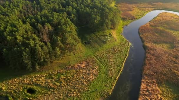 Vista Atraente Drone Voando Sobre Rio Sinuoso Dia Ensolarado Filmado — Vídeo de Stock