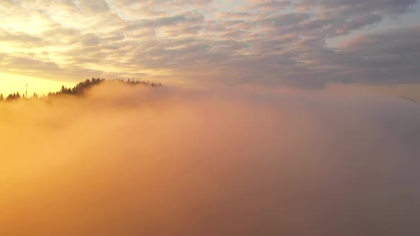 明るい濃い霧が朝の光の中で山をカバーしています 4Kで撮影されたドローンビデオ — ストック動画