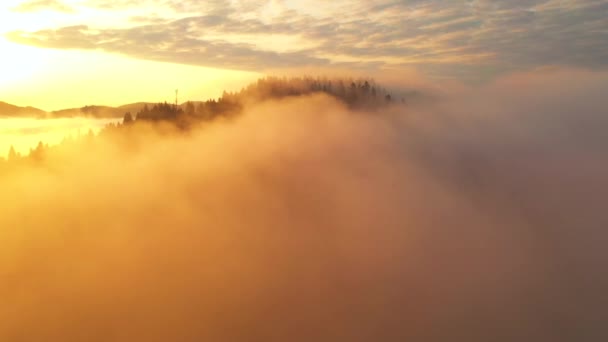 Kabut Tebal Menutupi Pegunungan Dalam Sinar Cahaya Pagi Lokasi Pegunungan — Stok Video