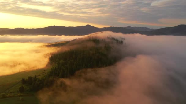 Wspaniały Widok Lotu Ptaka Gęstą Mgłę Pokrywającą Góry Nagrywane Wideo — Wideo stockowe