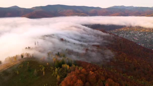 Dron Vuela Sobre Espesa Niebla Matutina Que Cubría Las Cadenas — Vídeos de Stock