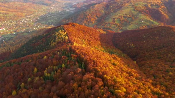 Vue Attrayante Depuis Drone Survolant Les Pentes Colorées Dans Journée — Video