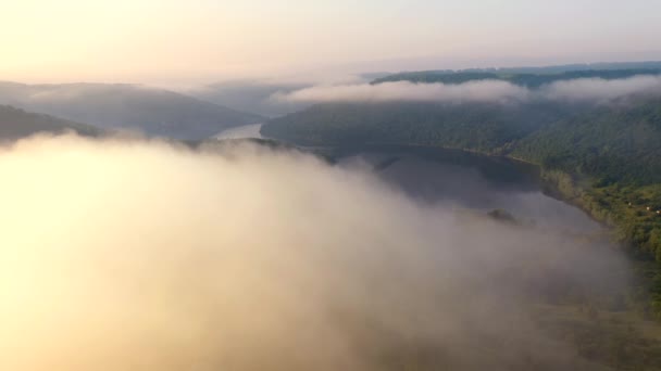 ドニエスター川の曲がりくねった渓谷を眺めながらドローンから撮影 4Kで撮影されたドローンビデオ — ストック動画