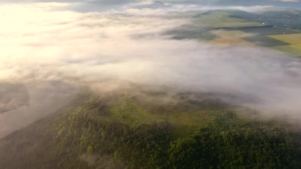 Shooting Drone Foggy Morning Landscape Dniester River Filmed Drone Video — Stock Video