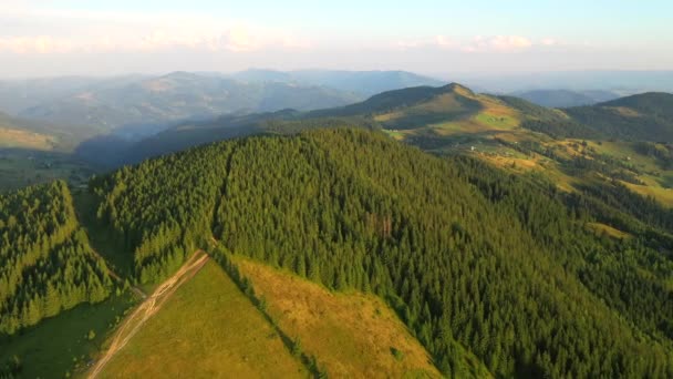 Vue Splendide Depuis Point Vue Oiseau Sur Vallée Verdoyante Des — Video