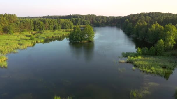 Prachtig Vogelperspectief Een Rustig Meer Groene Bossen Een Zonnige Dag — Stockvideo