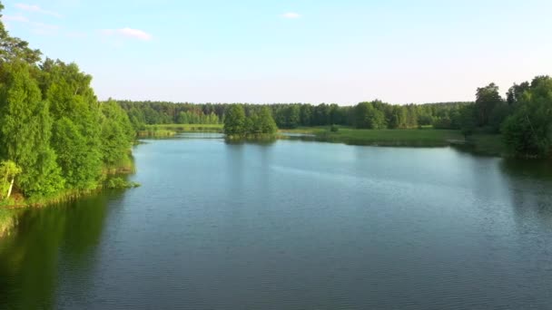 Wspaniały Widok Lotu Ptaka Spokojne Jezioro Zielone Lasy Słoneczny Dzień — Wideo stockowe